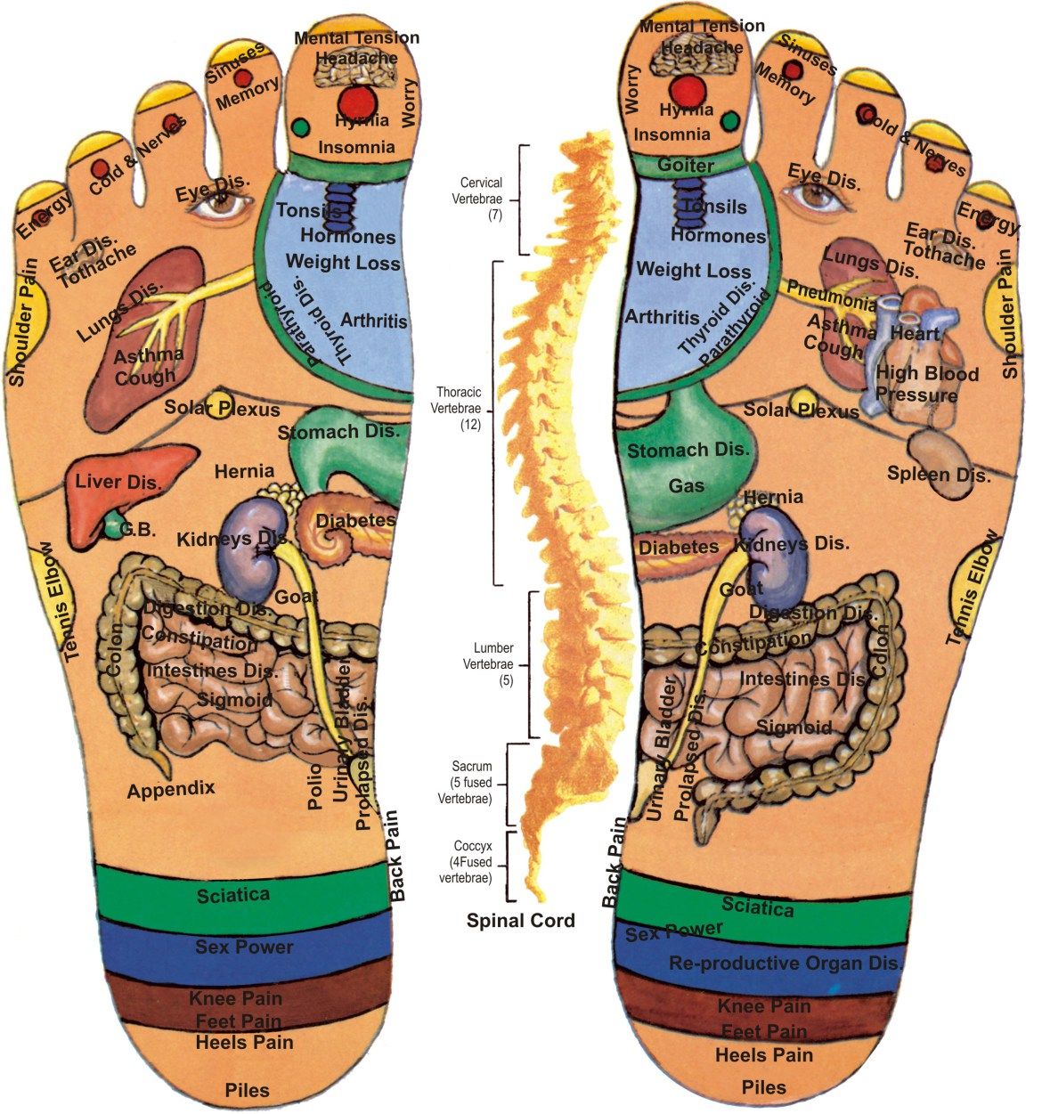 https://amritamasaj.ro/What about foot reflexology or foot massage on the soles?